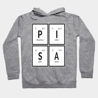 Pisa City Hoodie